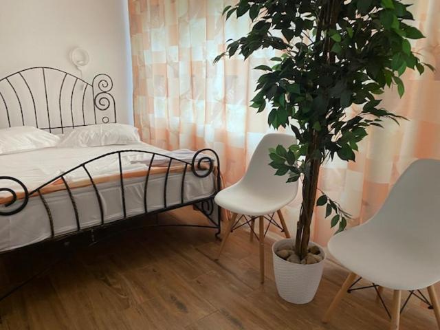 Suzana Garden Hotell Venus Eksteriør bilde